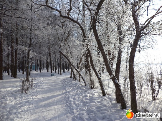 6 ����: ������ ���������!!!