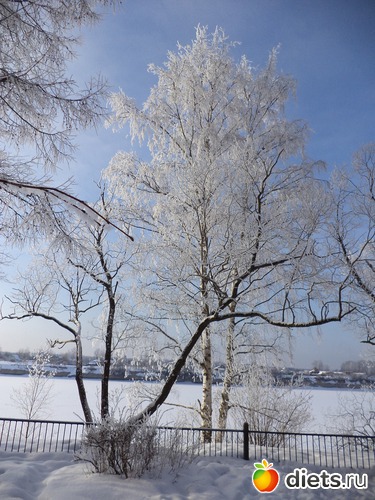 7 ����: ������ ���������!!!