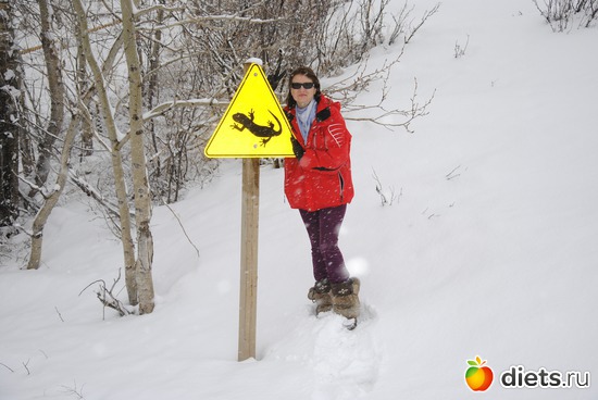 13 ����: � ��� �.