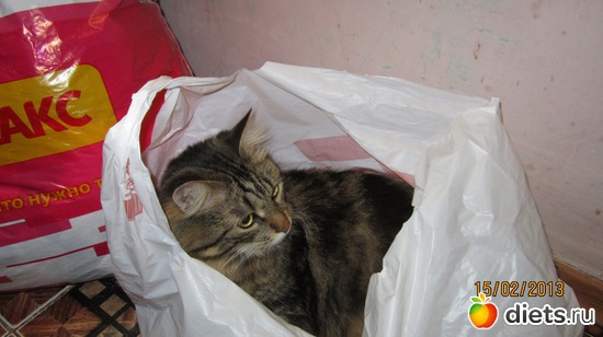 18 фото: Мой Маркизка