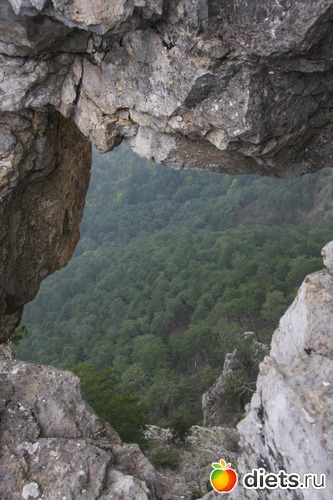 5 ����: ���� ������- ���