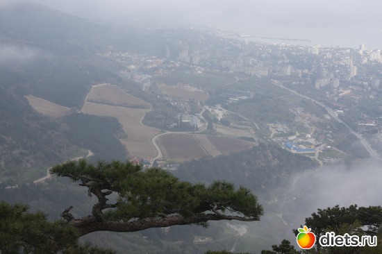 6 ����: ���� ������- ���