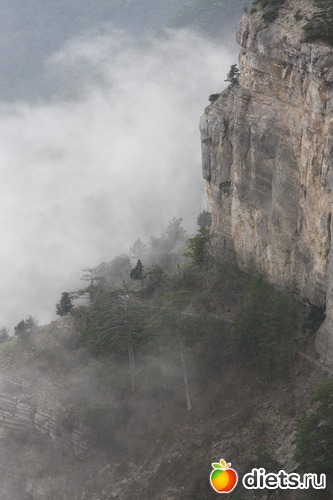 7 ����: ���� ������- ���