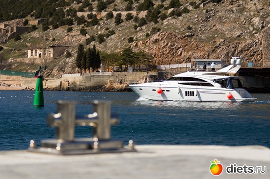 29 ����: �����������