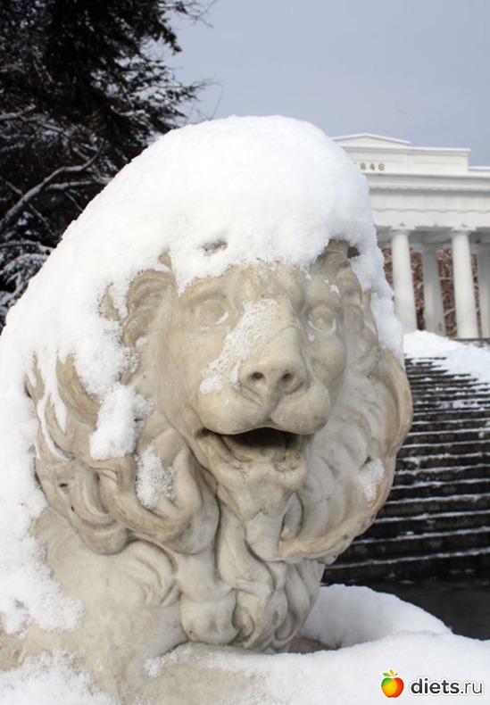 7 ����: �����������