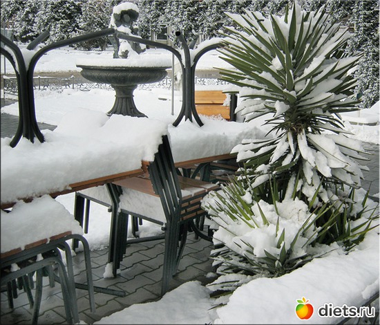 9 фото: Севастополь