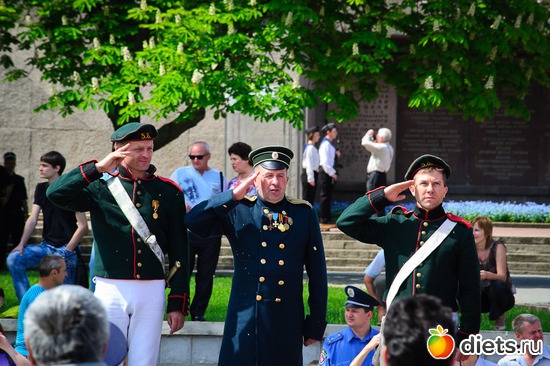 33 ����: �����������