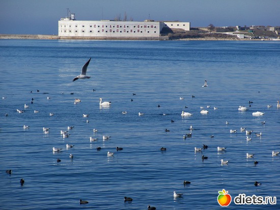 13 ����: �����������