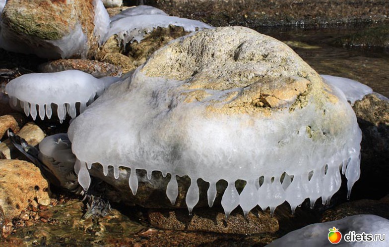 ������� ))))))), ������: �����������