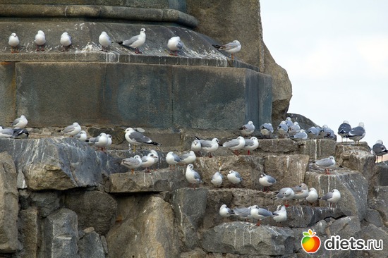 17 фото: Севастополь