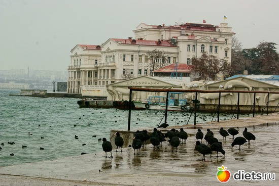 19 ����: �����������