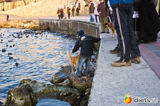 22 ����: �����������