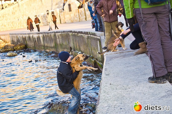 23 фото: Севастополь
