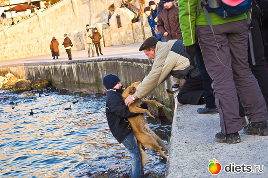 24 ����: �����������