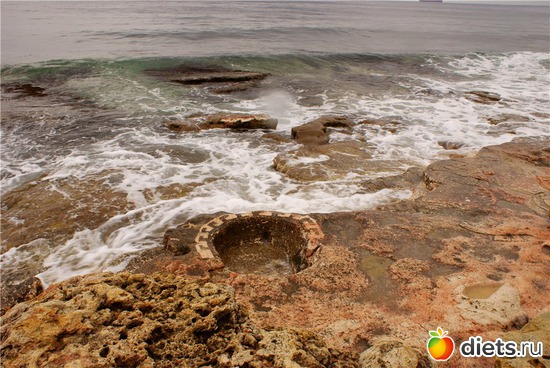 25 ����: �����������