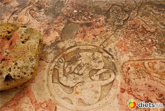 26 ����: �����������