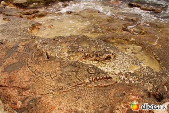 27 ����: �����������