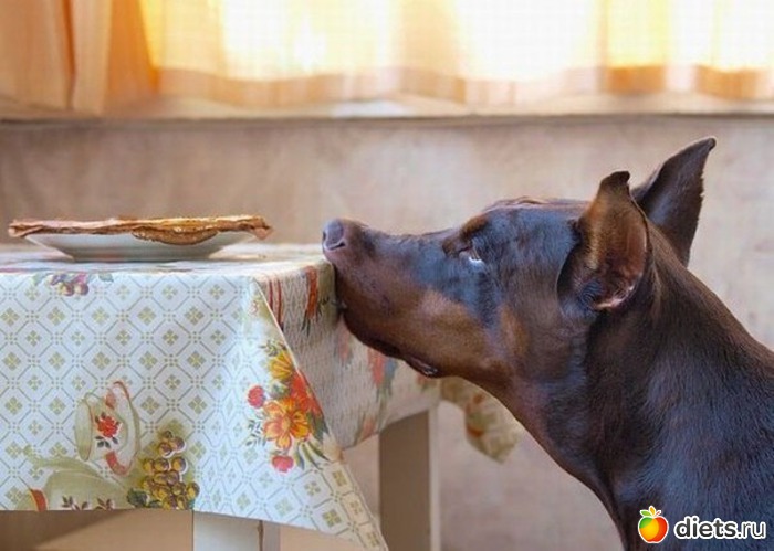 327 фото: Для постов