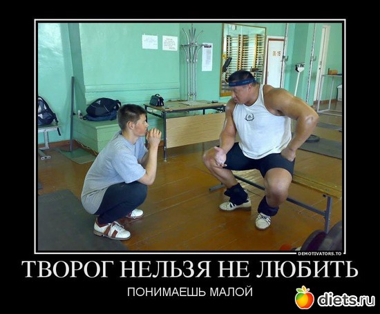 5 ����: �������