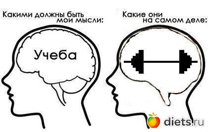 ��� ������