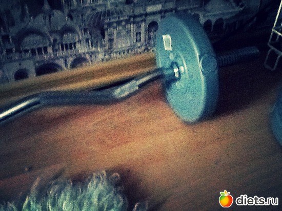 6 ����: ********