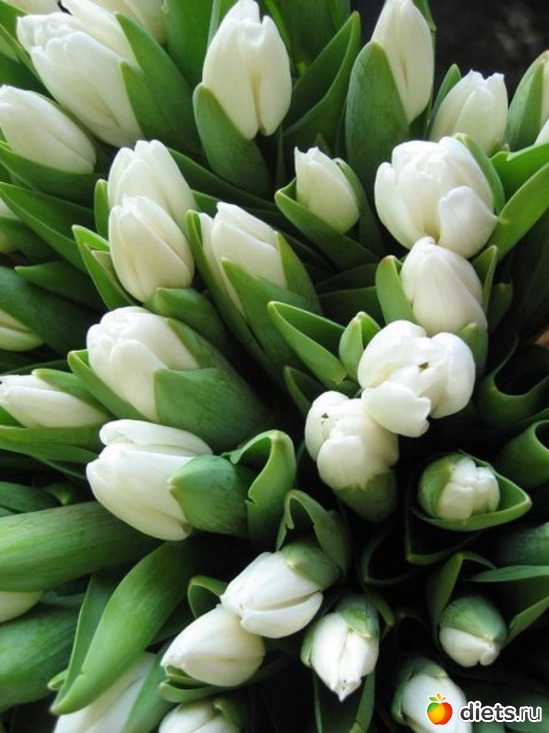 52 ����: ��� ����!