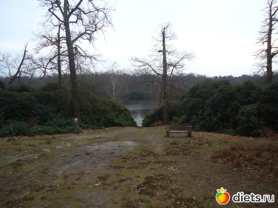 5 ����: �������� �..."Virginia water lake".. :)