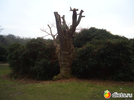 6 ����: �������� �..."Virginia water lake".. :)
