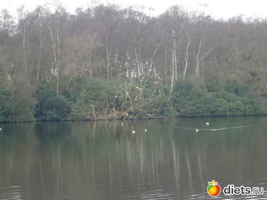7 ����: �������� �..."Virginia water lake".. :)