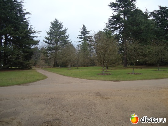 8 ����: �������� �..."Virginia water lake".. :)