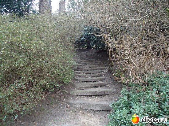 9 ����: �������� �..."Virginia water lake".. :)