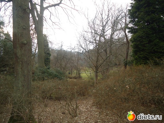 10 ����: �������� �..."Virginia water lake".. :)