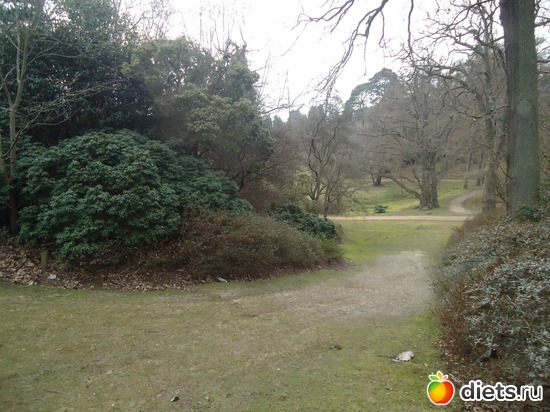 11 ����: �������� �..."Virginia water lake".. :)