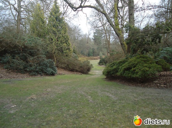 12 ����: �������� �..."Virginia water lake".. :)