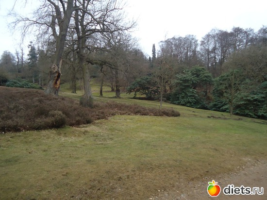 13 ����: �������� �..."Virginia water lake".. :)