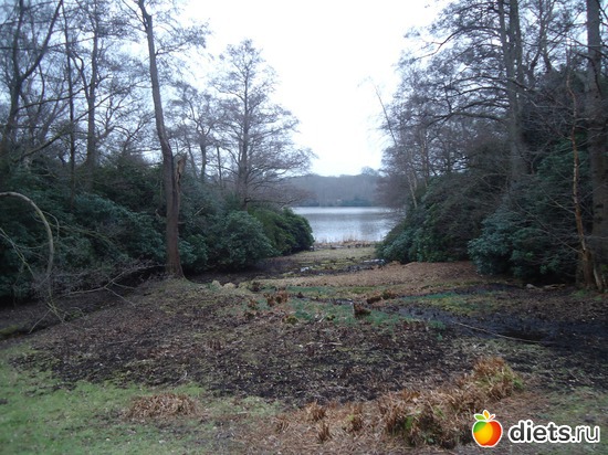 14 ����: �������� �..."Virginia water lake".. :)