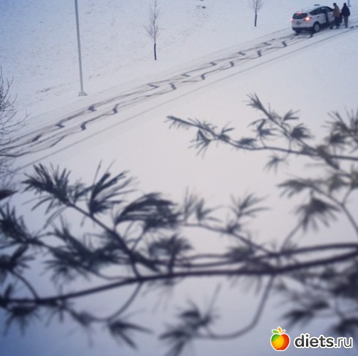 334 ����: ��� ������