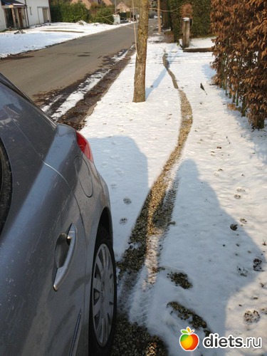 335 фото: Для постов