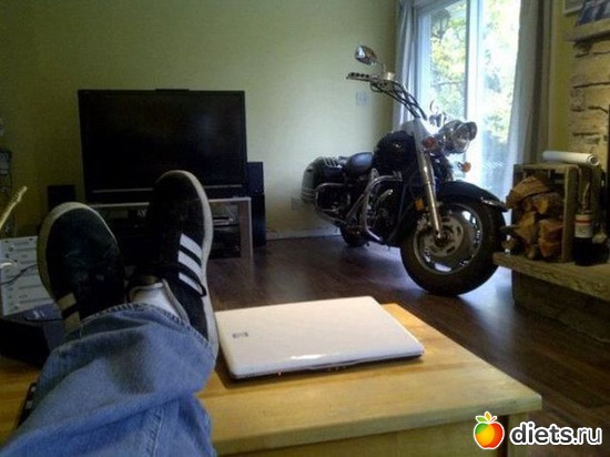 344 ����: ��� ������