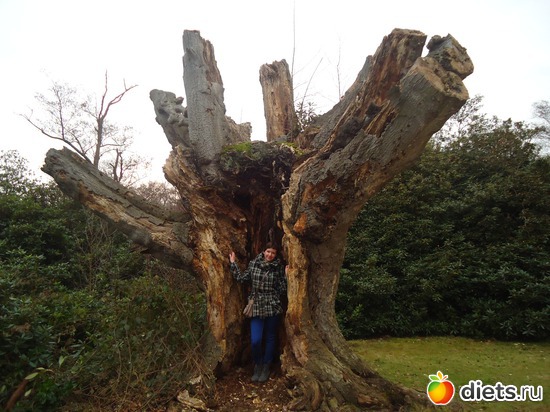 16 ����: �������� �..."Virginia water lake".. :)