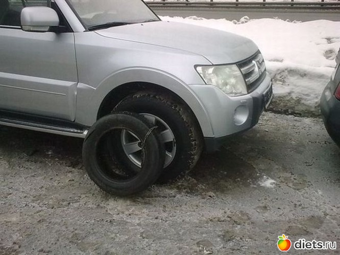 355 ����: ��� ������