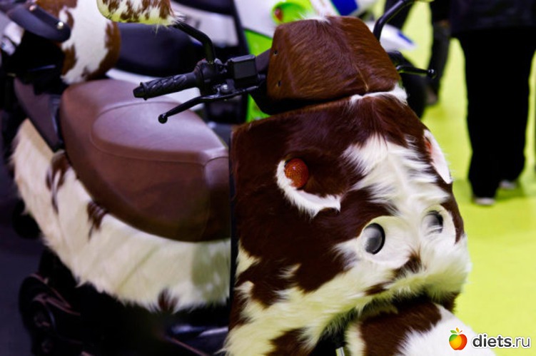 360 ����: ��� ������