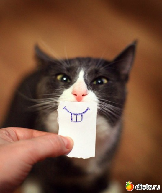 3 ����: �����))**