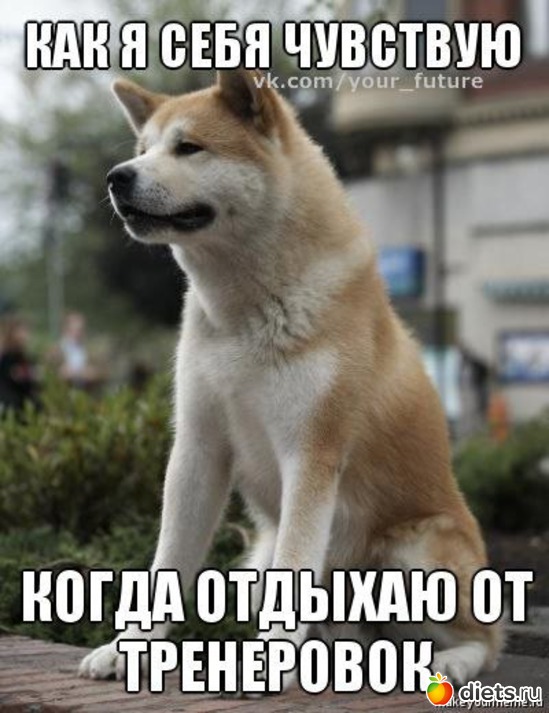 331 ����: ��� ������