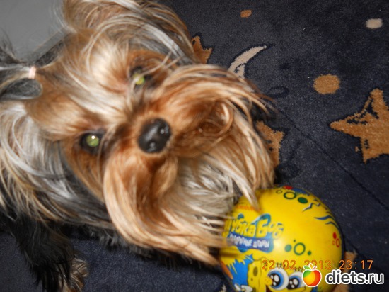 23 фото: Моё рукоделие...