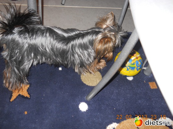 24 фото: Моё рукоделие...