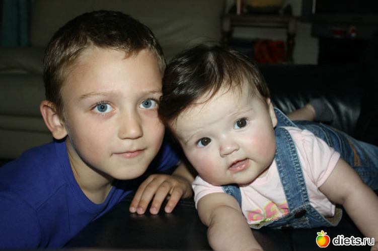 1 ����: semia