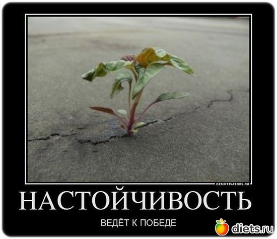 20 ����: �����-������! ���������