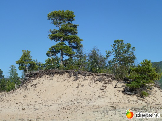 1 ����: ��������� ������