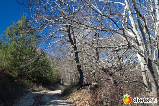 109 фото: Салоники-Халкидики-Лутраки декабрь 2012-январь 2013